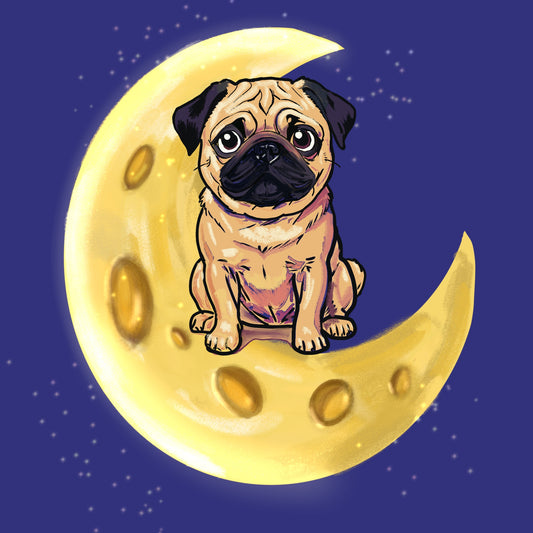 Hand-drawn portrait of a pug sitting on a crescent moon against a starry night sky